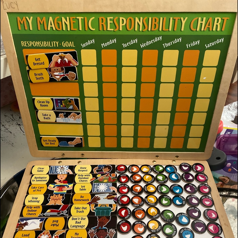 Melissa and Doug responsibility magnetic chart
